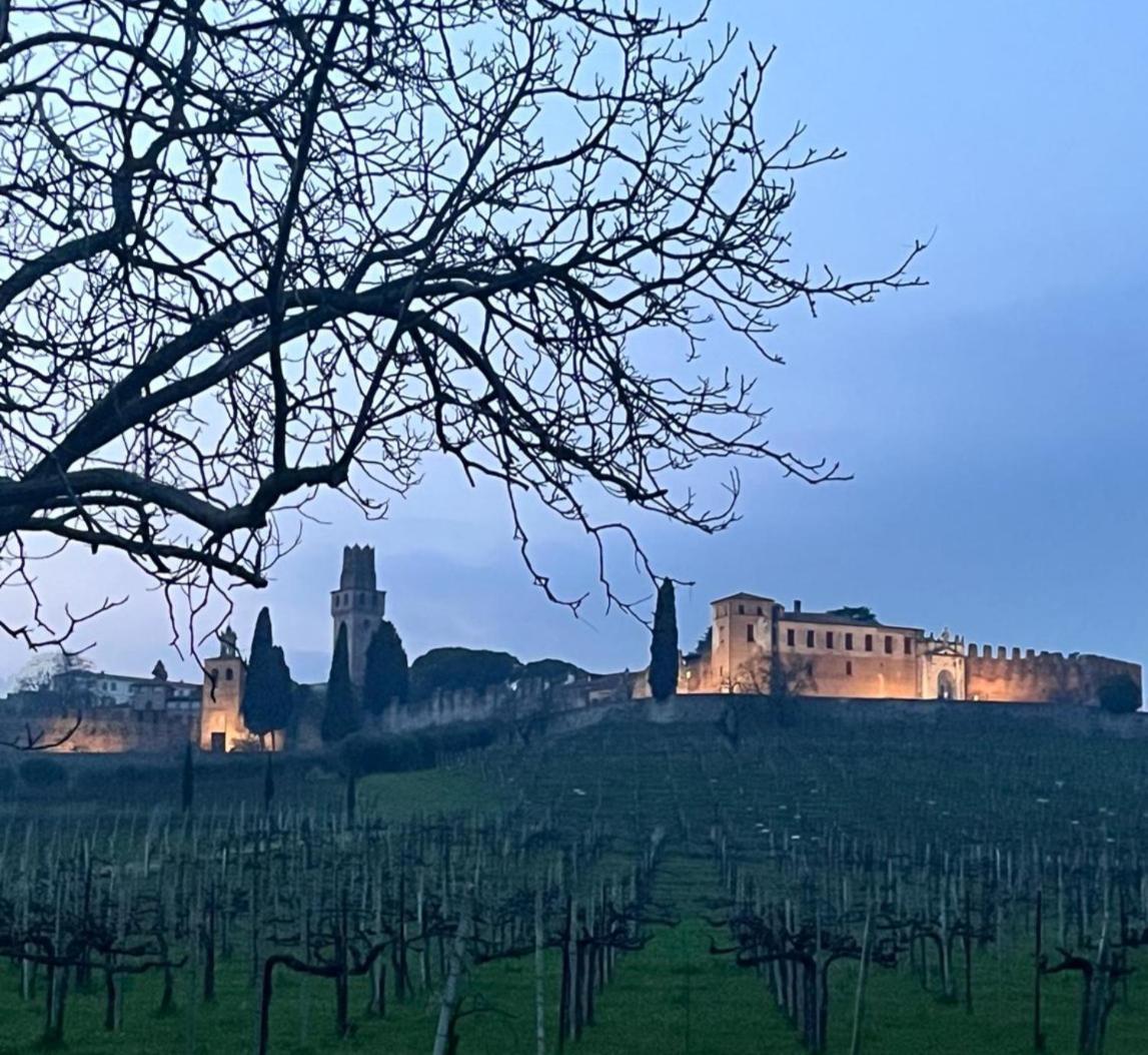 Vila I Sassi Della Piave Susegana Exteriér fotografie