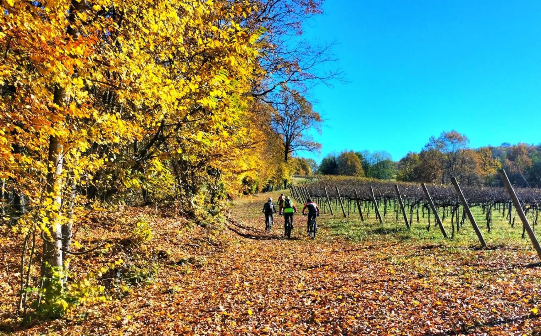 Vila I Sassi Della Piave Susegana Exteriér fotografie